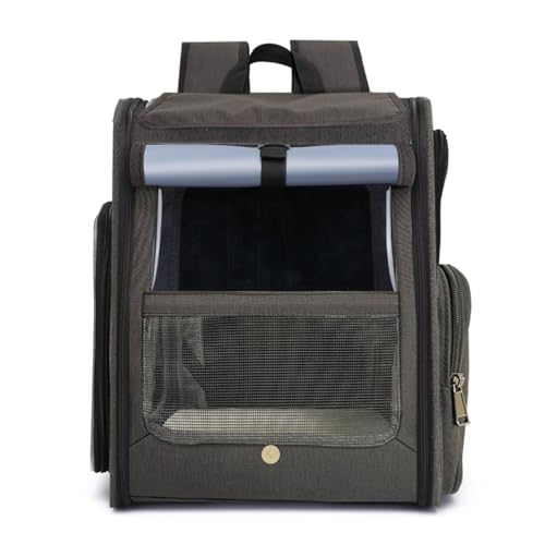 �y�b�g�L�����[ �g���\ �L �L�����[ ���^�� ���^�� �y�b�g�n�E�X �� �L�����b�N ���L�����[ �y�b�g�o�b�O���s �ʉ@ �d�Ԉړ� ���p (�u���b�N)