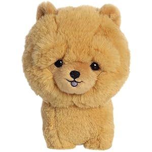Aurora – Teddy Huisdieren – 7 in Chow Chow