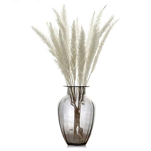 BIGBIGFAMILY Adereços para foto de flores secas, grama de pampas, adequado para casamentos, festas,