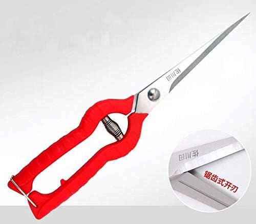 Extra Long Edge Stainless Steel Pruning Shears Fruit Trees Bonsai Sharp Garden Scissors Tool - Image 3