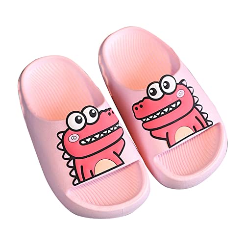 Toddler Boys Girls 𝐂artoon Dinosaur Slides Non-Slip Open Toe Shower Sandals Comfy Soft Fuzzy Slippers Kids Size 13