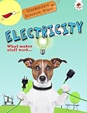 Electricity: What Makes Stuff Work? (Stickmen's Science Stars)
