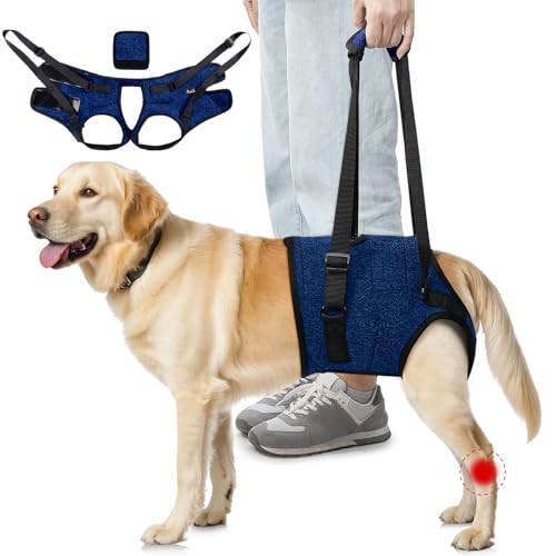 SlowTon Imbracatura di supporto per zampe posteriori Imbracatura per cani di taglia media - Comoda imbracatura di sollevamento per cani regolabile per anziani feriti Artritici disabili (Blu, L)