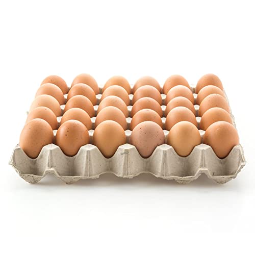 Fresh Brown Eggs (Pack of 30) Amazon.in Grocery & Gourmet Foods