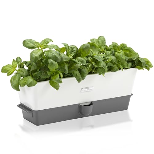Cole & Mason Self-Watering Herb Keeper, Plastic, White/Grey, 13.8 x 37.1 x 14 cm