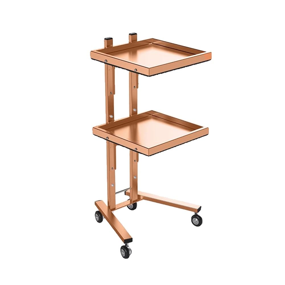 JKJZSALJ Salon Beauty Trolley Cart 2-Tier Metal Rolling Cart – Space Saving Rolling Beauty Cart For Hair Stylist Home Beauty Salon Special Cart,Orange,40X33X88CM