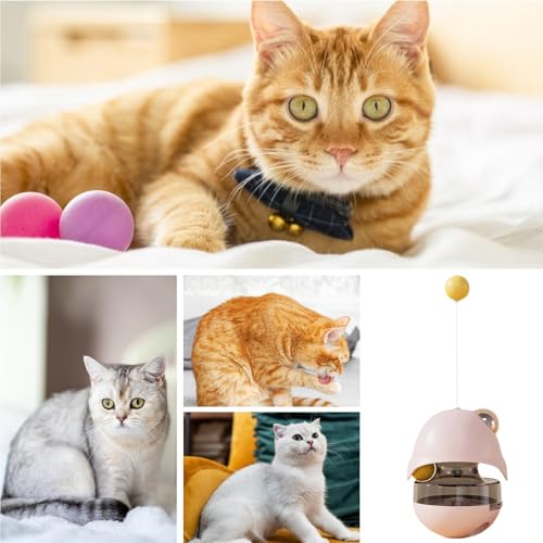Distributeur de nourriture pour chaton durable et sans danger