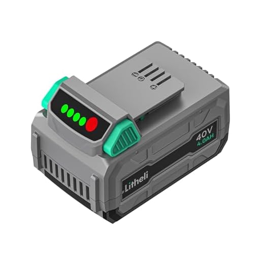 Litheli 40V 4.0AH Lithium Ion Battery Pack,Only for Litheli 40V White and Green Tools