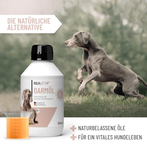 ReaVET Darmöl für Hunde 250ml I Verdauung, Darmflora I Sekundierend bei Verstopfung und Verdauungsproblemen, kein Remedium und Laxans