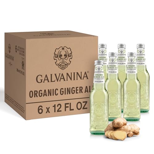 Galvanina Ginger Ale – Premium Organic Italian Sparkling Soda, 12 fl oz (6 Glass Bottles) | Crisp, Lightly Sweet Ginger Flavor, Perfect Refresher & Mixer.