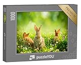 Basilius-Kathedrale (Roter Platz, Moskau) Foto & Bild | World, Kirchen, Architektur Bilder Auf