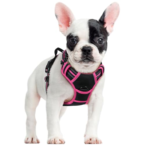 Image of rabbitgoo Dog Harness No Pull with 2 Leash Clips, Adjustable Soft Padded, Reflective Oxford No Choke Pet Vest with Easy Control Handle for Large Dogs, Black & Hot Pink, S