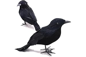 Halloween Black Crow Couple