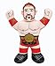 WWE Championship Brawlin' Buddies : Sheamus