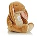 KIDS PREFERRED Guess How Much I Love You - Nutbrown Hare Stuffed Animal Plush Toy, 15.5 Inches