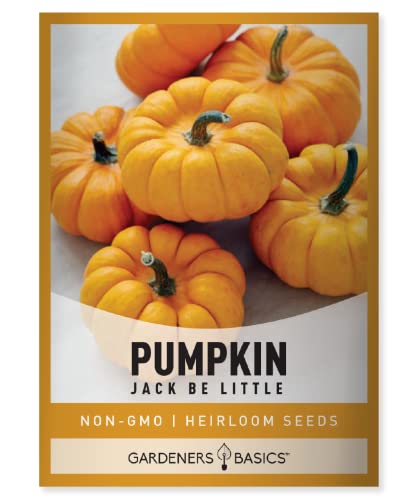 Gardeners Basics Mini Pumpkin Seeds for Planting (Jack Be Little) Small Heirloom Non-GMO Vegetable Variety 5 Grams Seeds Great for Summer Pumpkin Gardens