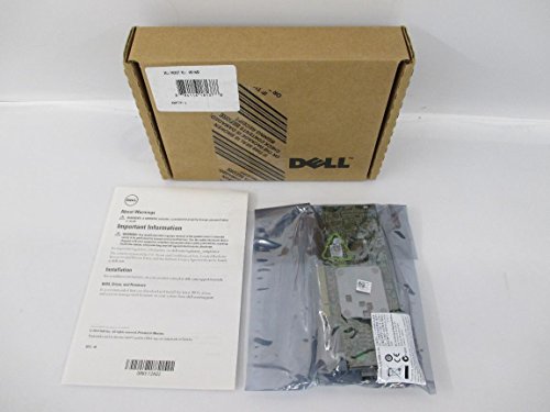 Dell PERC H830 RAID controlador SAS 12Gbps PCIe 3.0 para servidores PowerEdge 2