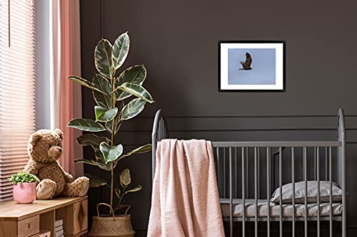 Poster met lijst Bruine kiekendief - Poster met lijst bruine kiekendief die in lucht vliegt - 40x30 cm - Afbeelding 6