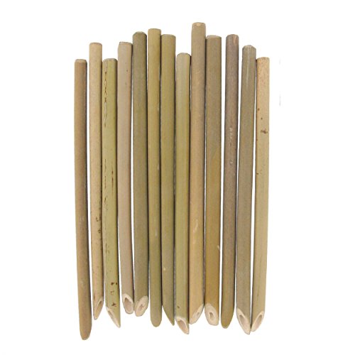Pitillos de bambú reutilizables orgánicos 7 pulgadas x10 miniatura 1