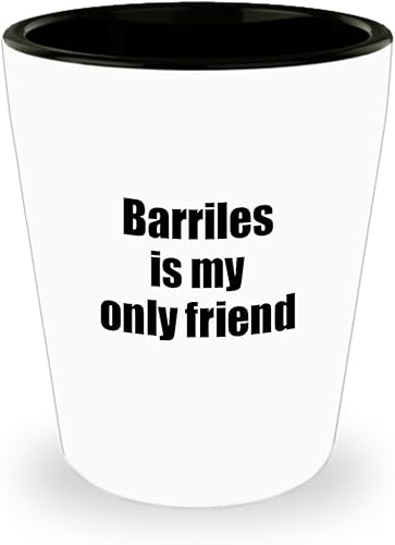 EzGift Funny Barriles Shot Glass Is My Only Friend Quote Musician Gift For Instrument Player 1.5 Oz Shotglass