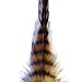 Montana Fly MFC Barred Saddle Hackle Brown/Black