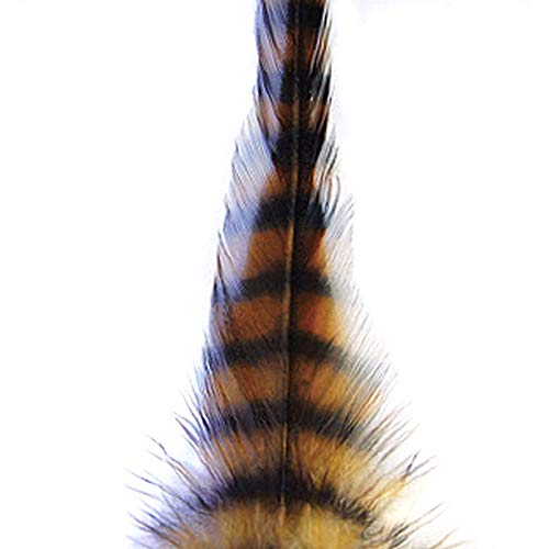 Barred Strung Saddle Hackle