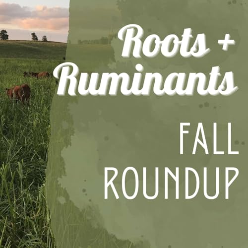 Fall Roundup cover art