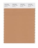 PANTONE Smart 16-1341X Color Swatch Card, Butterum