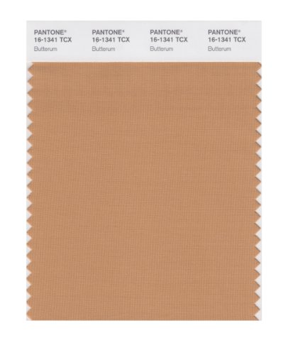 PANTONE Smart 16-1341X Color Swatch Card, Butterum
