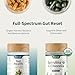 Snap Supplements Gut Health & Organic Spirulina Chlorella Bundle–Probiotic + Digestive Enzymes + Greens–Supports Digestion, Detox, Energy & Immune Health, 50 + 120 Vegetarian Capsules (1 Month Supply)