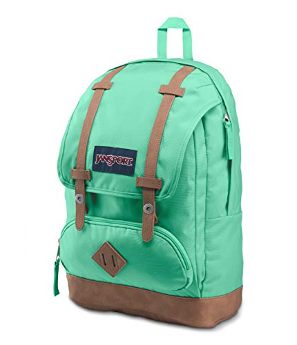 JANSPORT-Unisex-Cortlandt-Everyday-Advanture-Tech-Backpack-pack-of-1