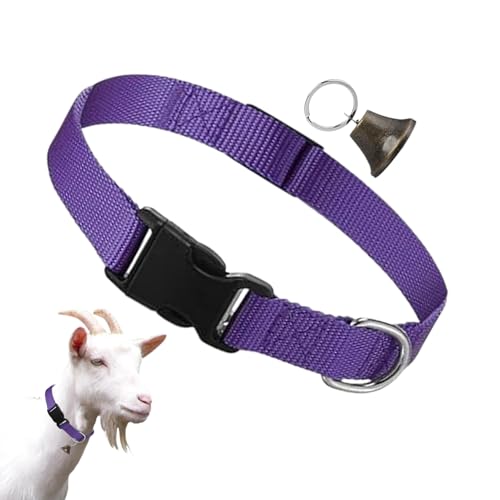 Rronnoy ̂郄M̎ - \ȗr̋݃ZbgA{Ŷ߂̏̉UxA`XgANZT[