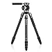 Benro Mammoth TMTH44C CF Tripod with WH15 Wildlife Head