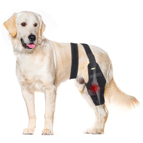Image of Dog Knee Brace for Back Leg Fit Large to Small Dogs Strong Support Adjustable Dog Leg Braces with 2 Metal Strips for Hip Dysplasia, ACL, CCL, Ligament Injuries & Osteoarthritis (Right Leg, 2XL)
