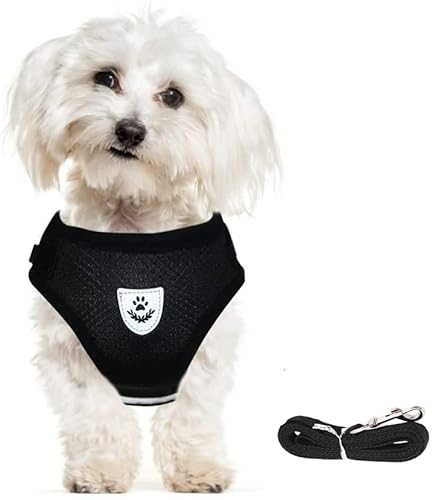 meioro pn[lX[hZbg pXgbv pxXgn[lX Ȃ ˃Xgbvt Ԕˍ |GXef AɗD }WbNe[vt ̈Sی ߉\ y EՂ _炩  @\ U