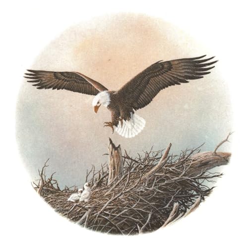 Eagle Eaglet in The Nest Overglaze Ceramic Decals 7.5 Inch (1 Decal)