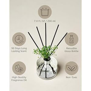 MSENSE Creamy Fig Reed Diffuser Set with 7 Sticks Babys Breath Flower 70oz Woody Floral Scent Flame Free Fragrance Diffuser for Bedroom Long Lasting Floral Diffuser for Housewarming