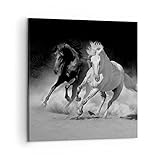 Les tableaux muraux créent un climat fantastique. Dimensions hors tout: 50cm x 50cm. Nombre d’éléments: 1. L'universalité des images sur toile moderne vous permet de l'utiliser dans n'importe quel intérieur décoré de style scandinave, glamour, bohème, minimaliste ou même industriel.