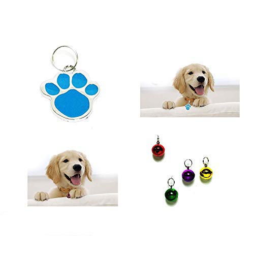 See full amazon price history chart for Sage Square Paw Shape Collar Tag + 4 Cute Bell for Puppies, Kittens & Dogs (Combo of 5 Tag) - Color May Vary Sage Square Paw Shape Collar Tag + 4 Cute Bell for Puppies, Kittens & Dogs (Combo of 5 Tag) - Color May Vary (B08D3S1TQQ) Amazon Price History, Amazon Price Tracker