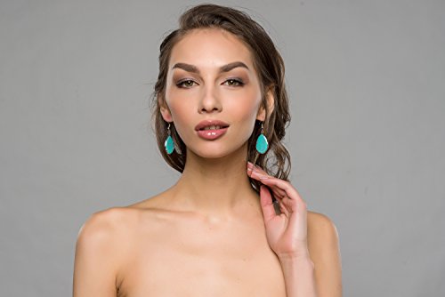 Lova Jewelry Bohemian Red And Turquoise Stone Silver Tone Fish Hook Dangle Earrings #TOP4