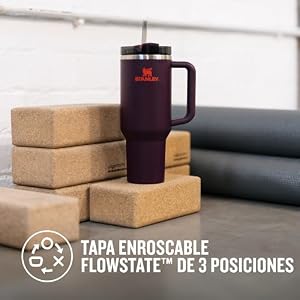 STANLEY 1913 Quencher H2.0 FlowState Tumbler 1.2L – Plum