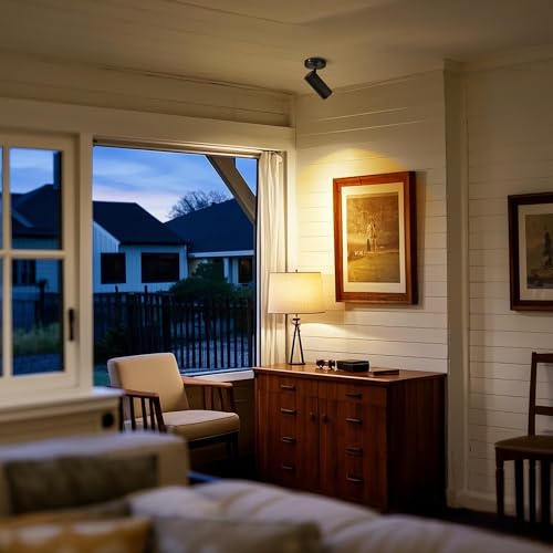 Image of LED Dimmable Indoor Ceiling Spotlight, Hardwire Directional Fixture