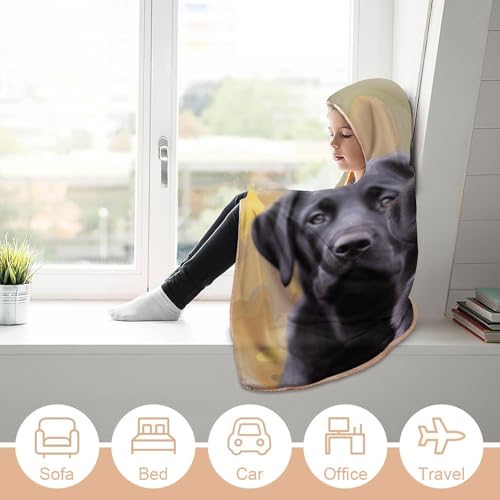 Couverture à capuche labrador idée cadeau originale peluche - 6