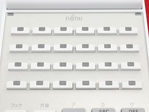 Close-up of the programmable function keys on the D-station 52B.