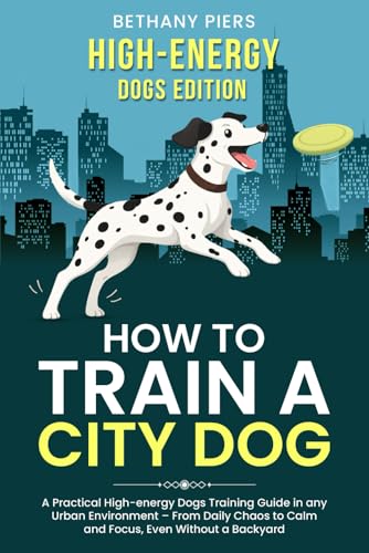 How to Train a City Dog: A Practical High-energy Dogs