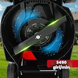 LEHMANN B0F94BG51J lato 4