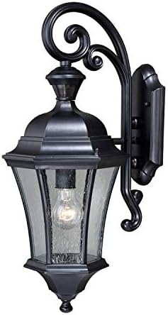 Aberdeen Black Motion Sensor Dusk to Dawn Outdoor Wall Light