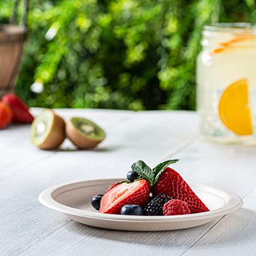 100% Compostable 7 Inch Heavy-Duty Plates [125 Pack] Eco-Friendly Disposable Sugarcane Paper Plates - Brown Unbleached #TOP5