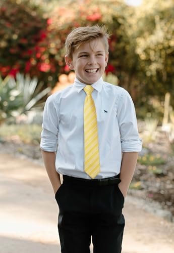 Enlision Boy Tie Striped Pre-Tied Plaid Kid Necktie3