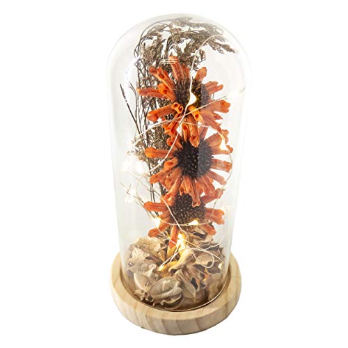 Girassóis Encantados com Cúpula de Vidro Redoma de Vidro Bela e a Fera e O Pequeno Princípe